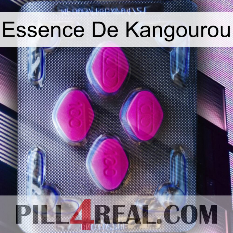 Kangaroo Essence 02